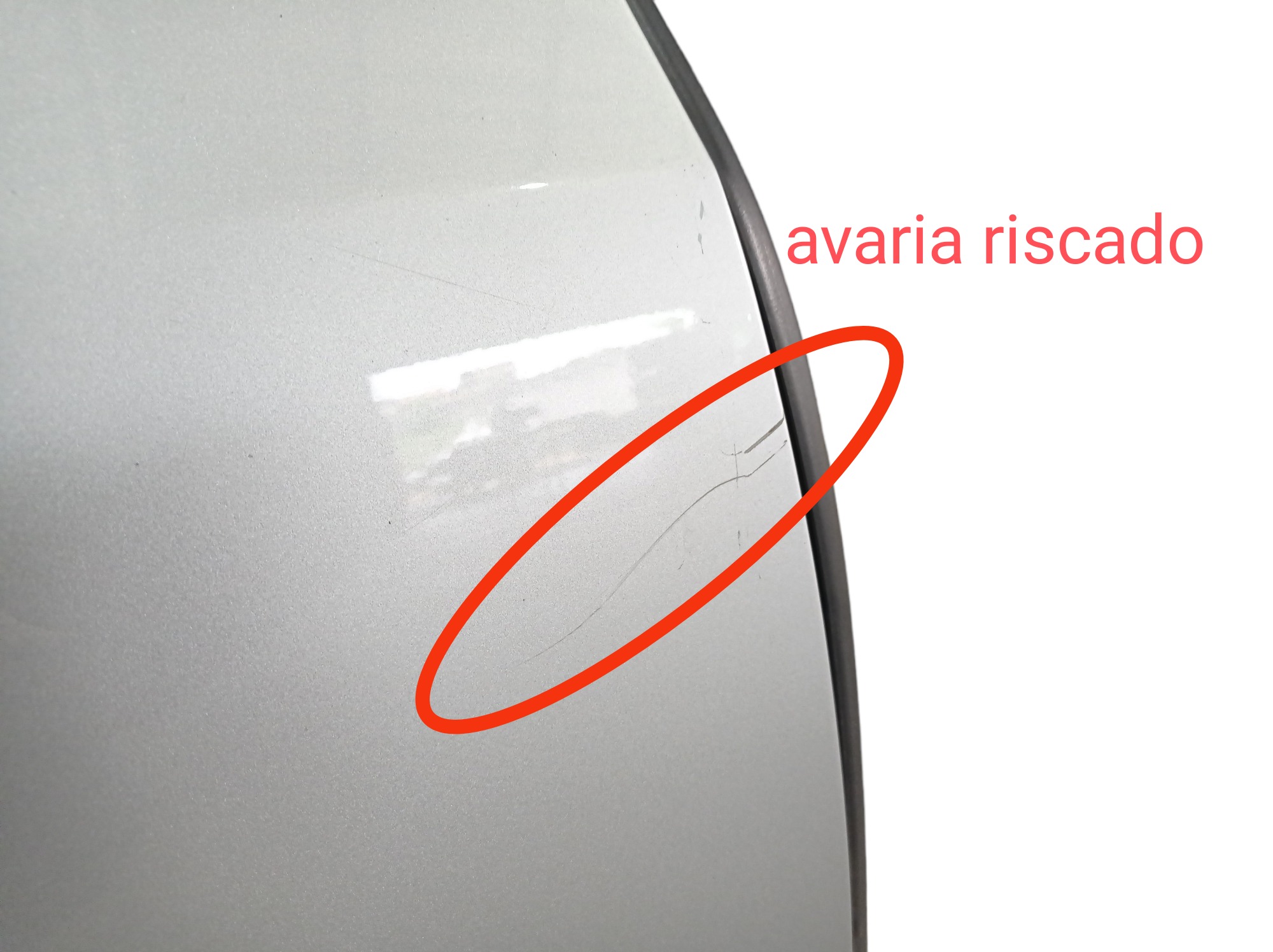 Porta Traseira Direita Hyundai Equus Vs460 2013 V577 Traseira 6