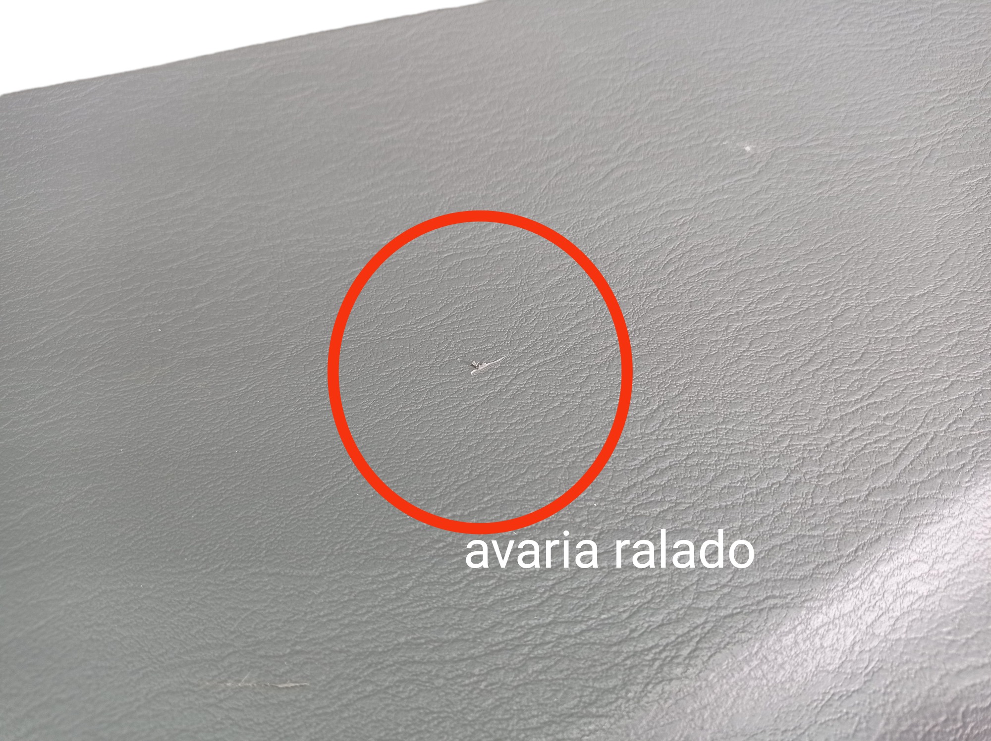 Forro Porta Traseira Direita Grand Caravan Limited 2005 V586 9