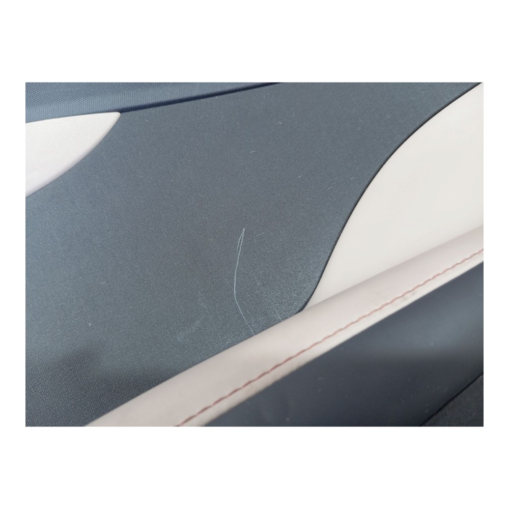 Forro Porta Traseira Direita Byd Dolphin Gs 2024 2025 V628 9