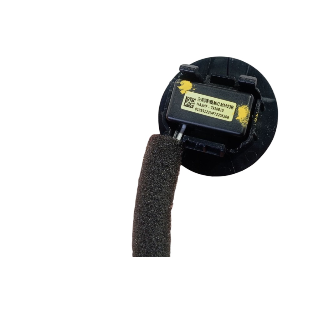 Tweeter Byd Dolphin Ev Gs 2024 V628 2