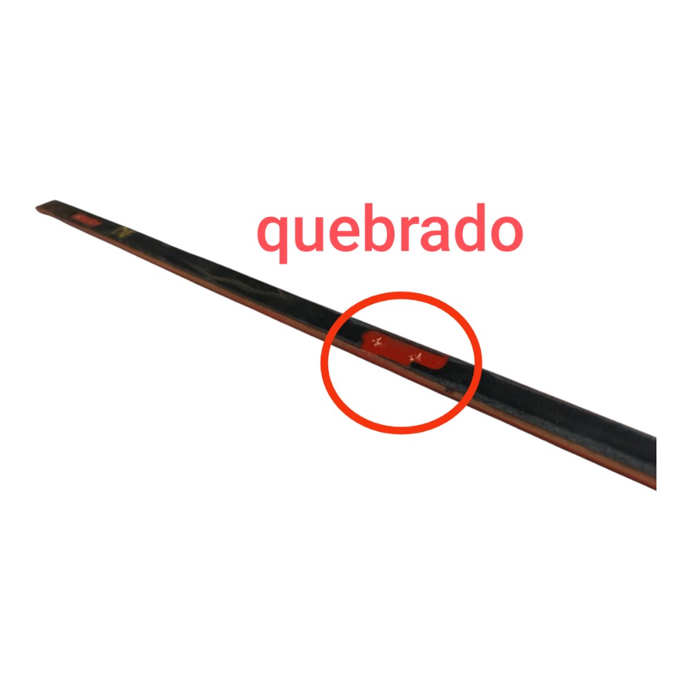 Friso Porta Dianteira Esquerdo Byd Dolphin Gs 2024 25 V666 10