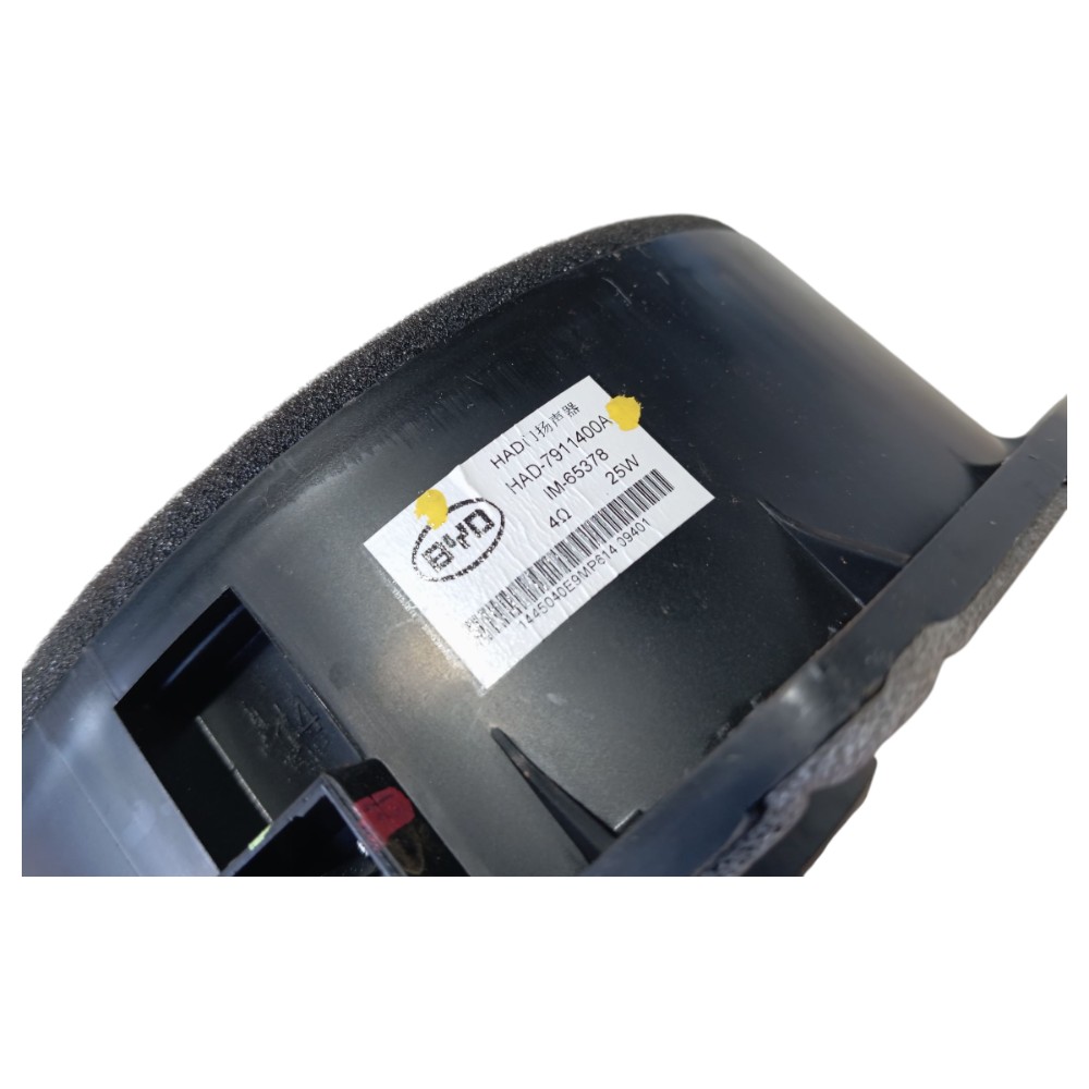 Alto Falante Porta Diant Direita Byd Dolphin Gs 2024 25 V653 2