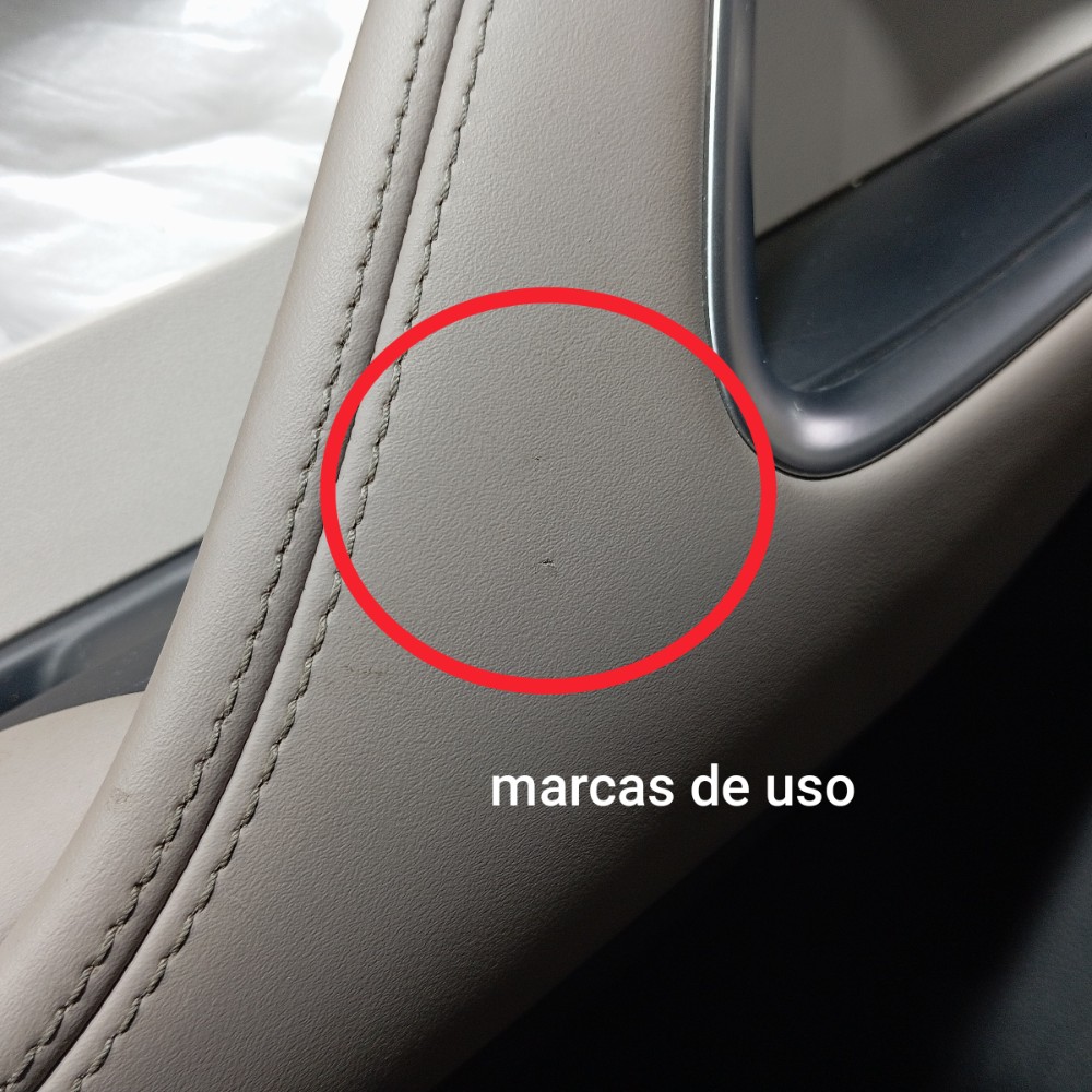 Forro Porta Traseira Esquerda Byd Song Pro 2025 V669 7