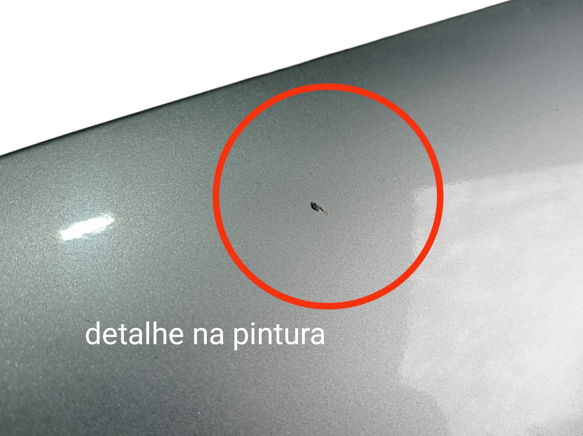 Aplique Porta Traseira Esquerda Grand Caravan Ltd 2005 V586 7