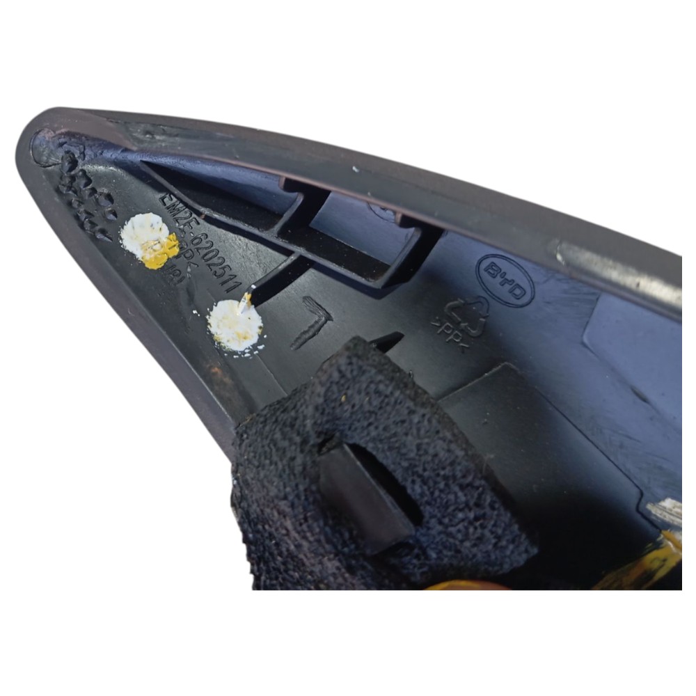 Moldura Porta Traseir Esquerda Byd Dolphin Gs 2024 2025 V653
