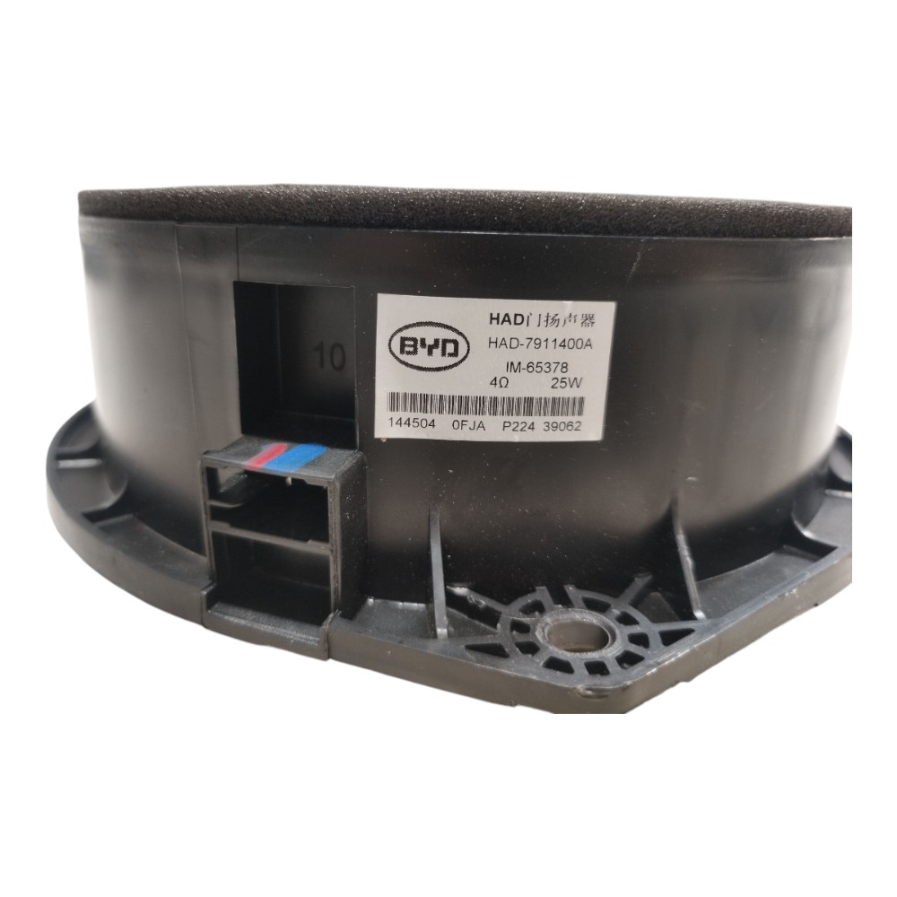 Alto Falante Dianteiro Esquerd Byd Dolphin Gs 2024 2025 V666 10