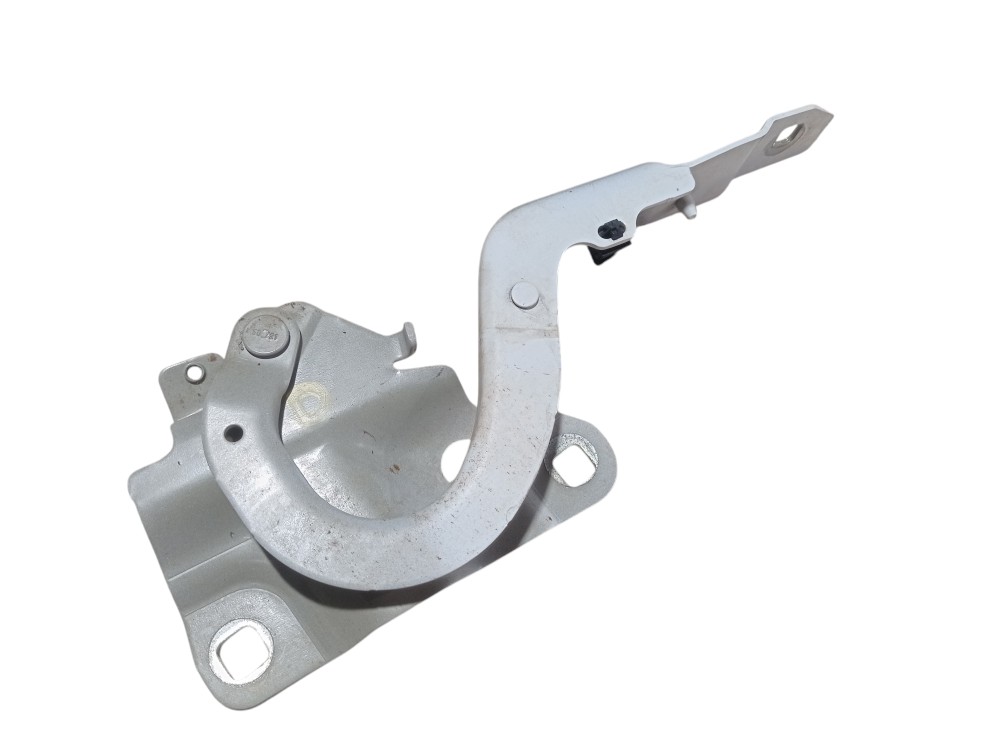 Dobradica Capo Direito Renault Zoe Neo Int 2023 V617 4
