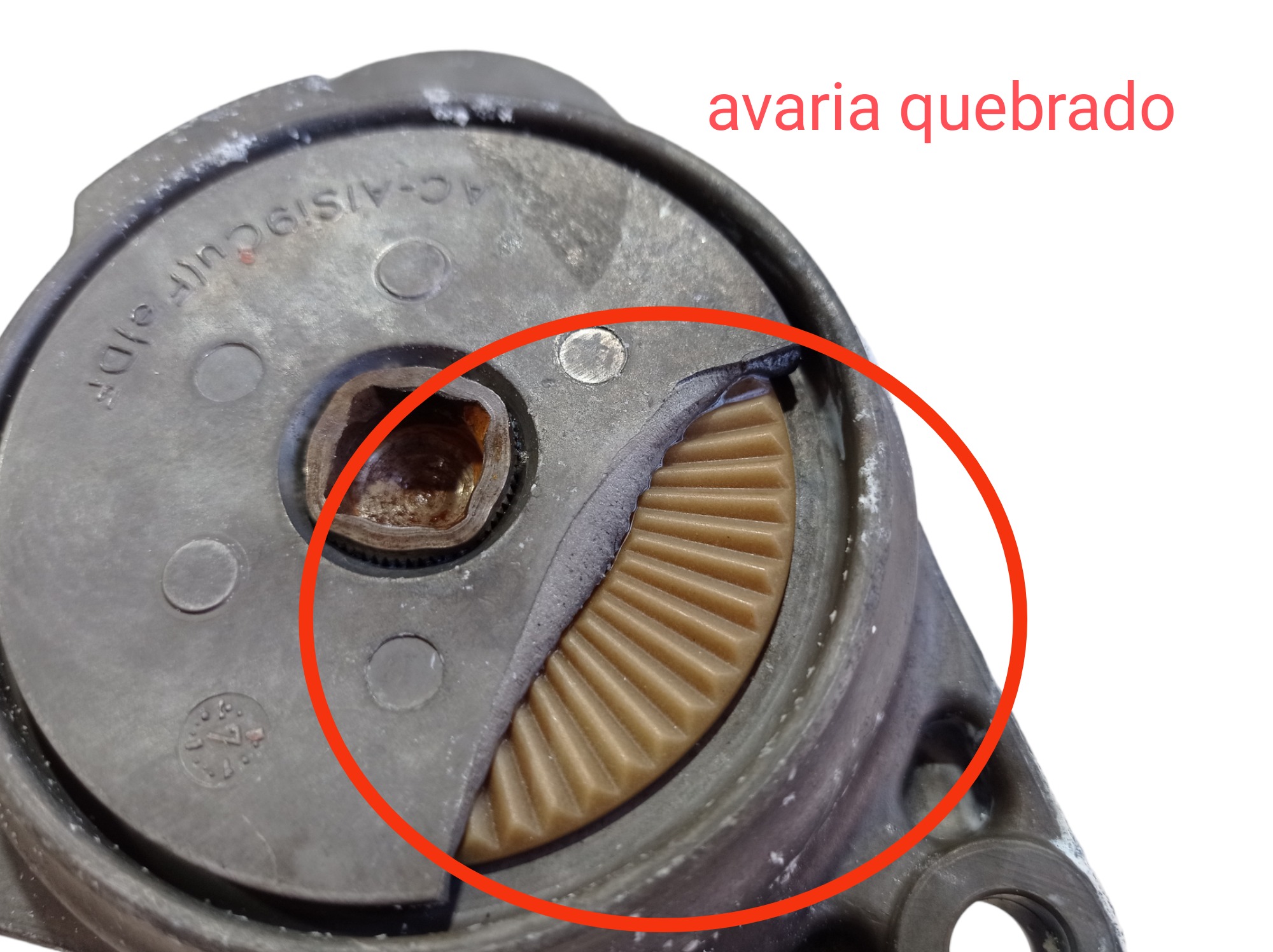 Tensor Correia Range Rover Vogue 2008 V583 6