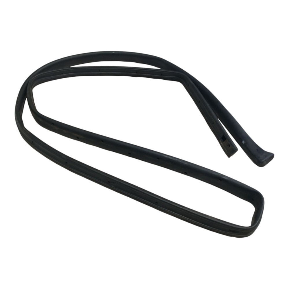 Borracha Porta Dianteira Direita Byd Dolphin Gs 2024 25 V666 7