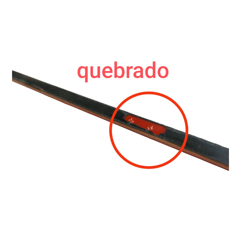 Friso Porta Dianteira Esquerdo Byd Dolphin Gs 2024 25 V666 4