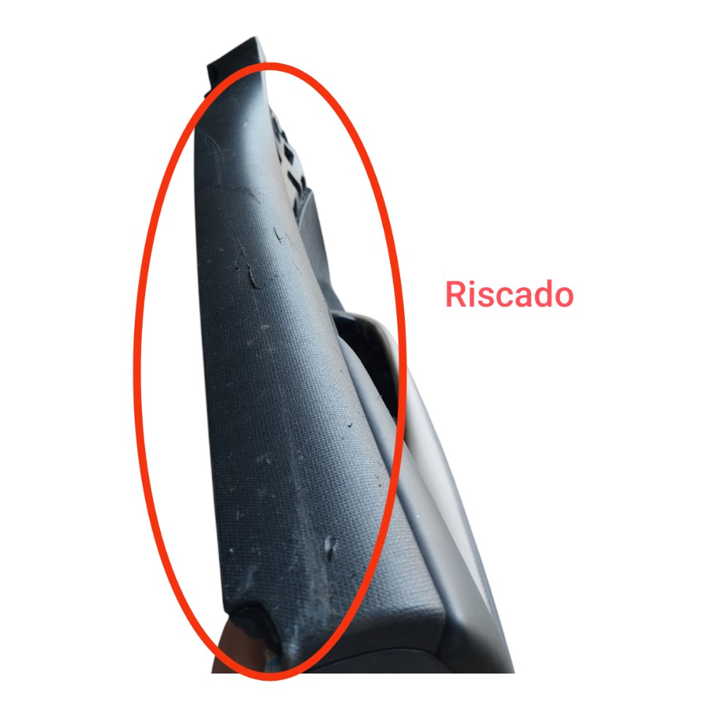 Forro Porta Dianteira Esquerda Byd Dolphin Gs 2024 25 V628 9