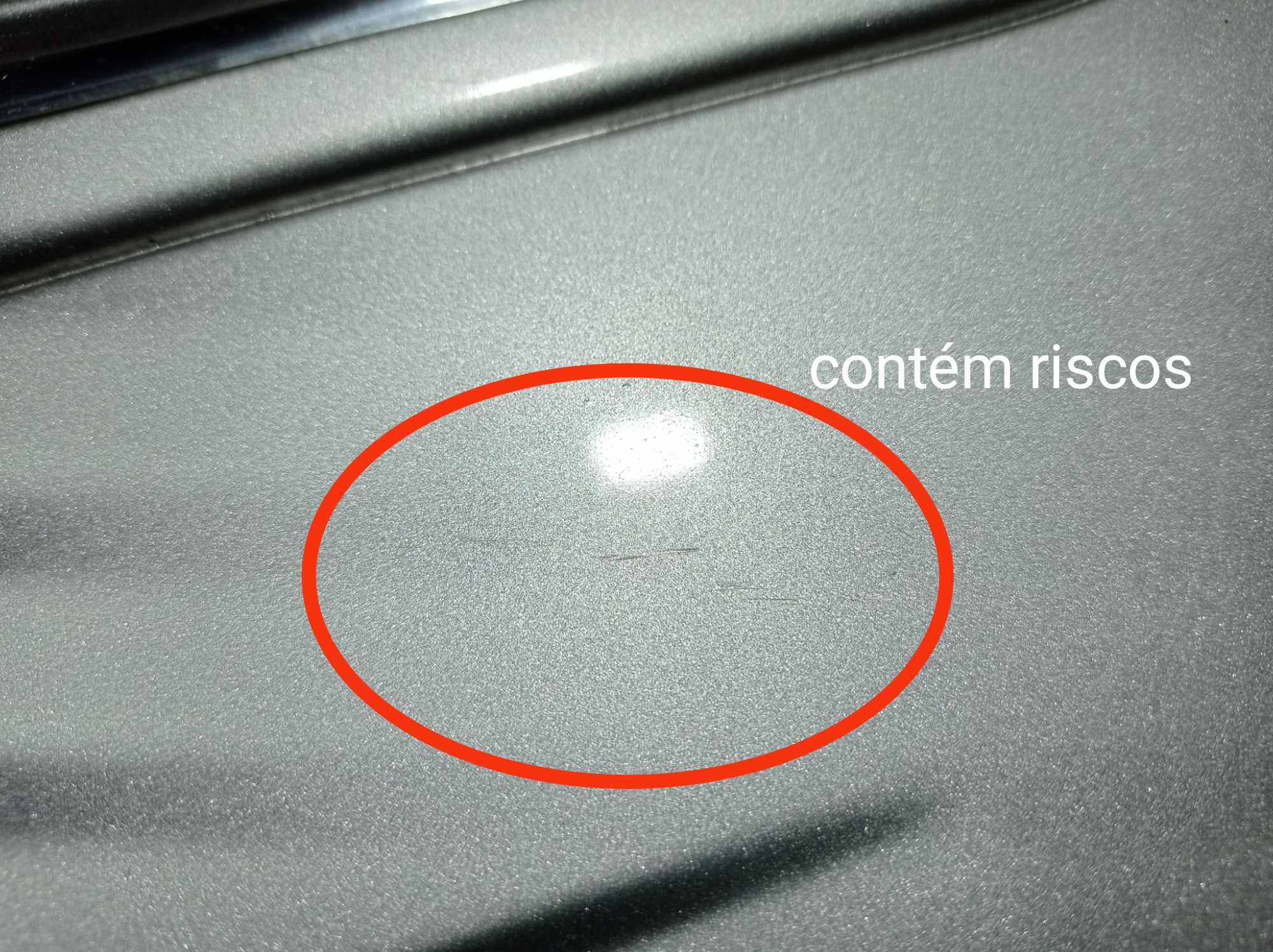 Friso Porta Traseira Esquerda Grand Caravan Limited 05 V586 6