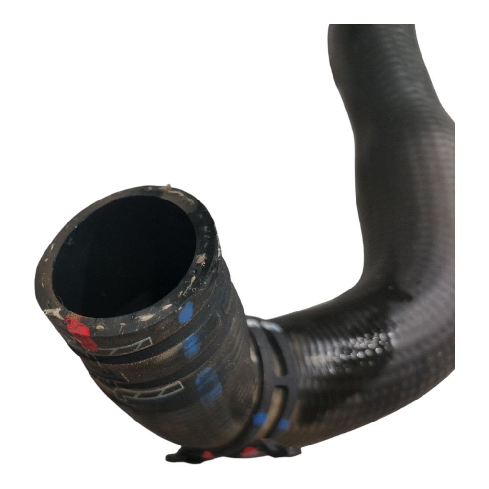 Mangueira Agua Motor Byd Dolphin Gs 2024 2025 V666 8