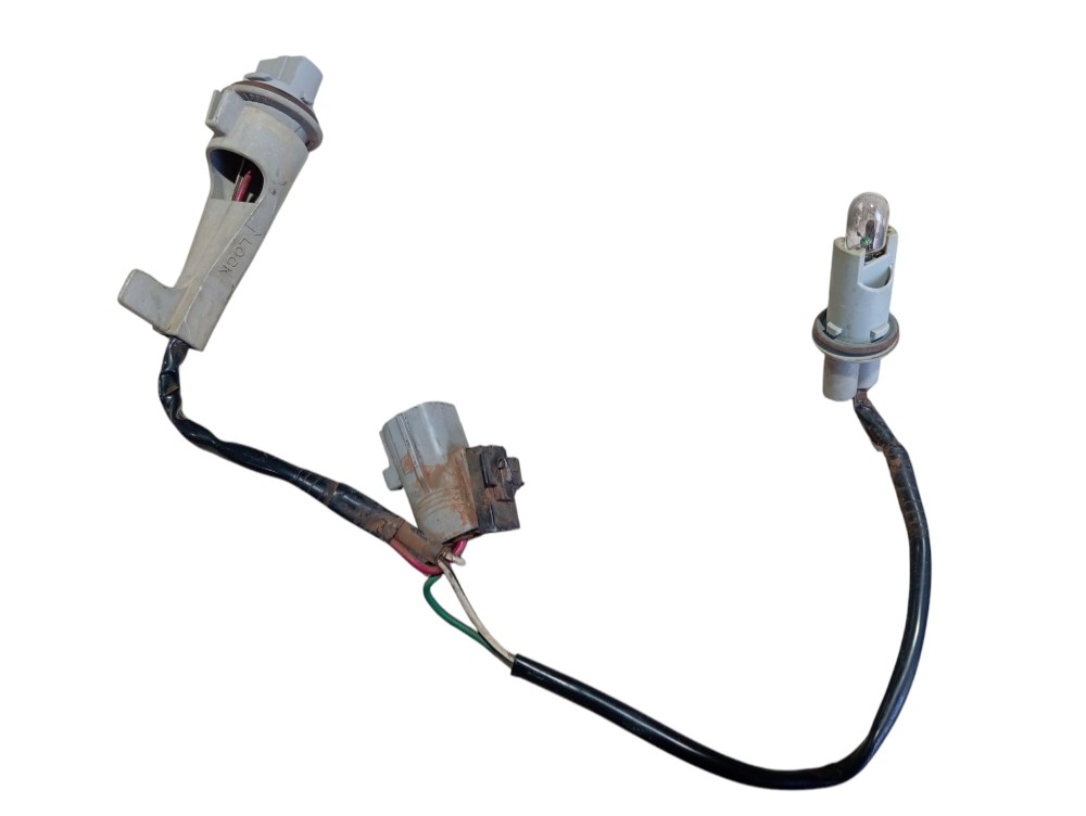 Chicote Lanterna Traseira Land Cruiser Prado 2005 V620 3