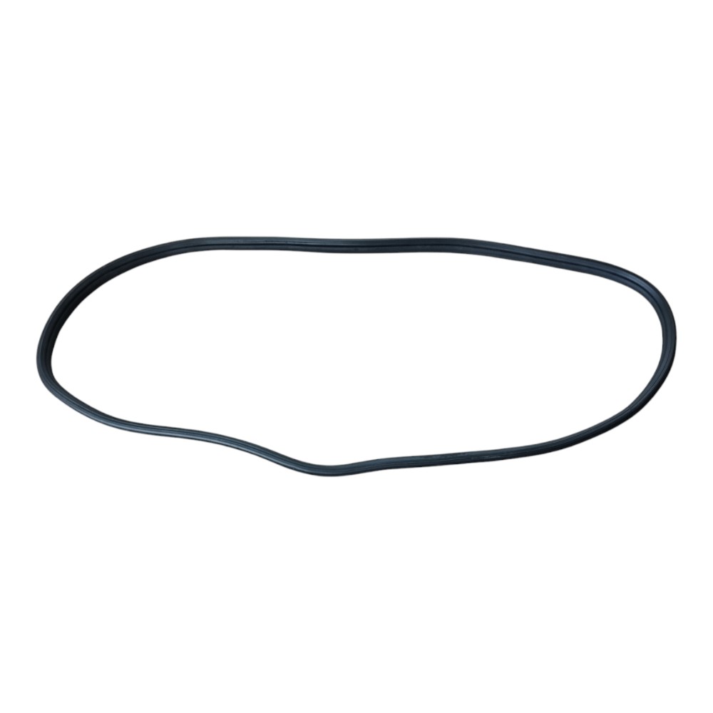 Borracha Porta Traseira Esquerda Byd Dolphin Gs 2024 25 V628 6