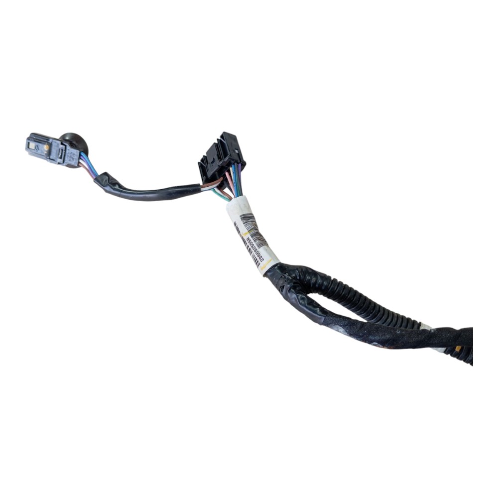 Chicote Motor Renault Zoe 2022 2023 V639 1
