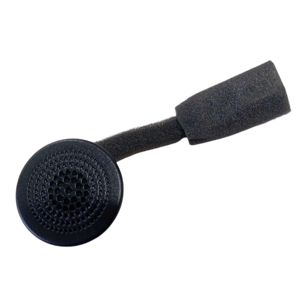 Tweeter Byd Dolphin Ev Gs 2024 V628 1