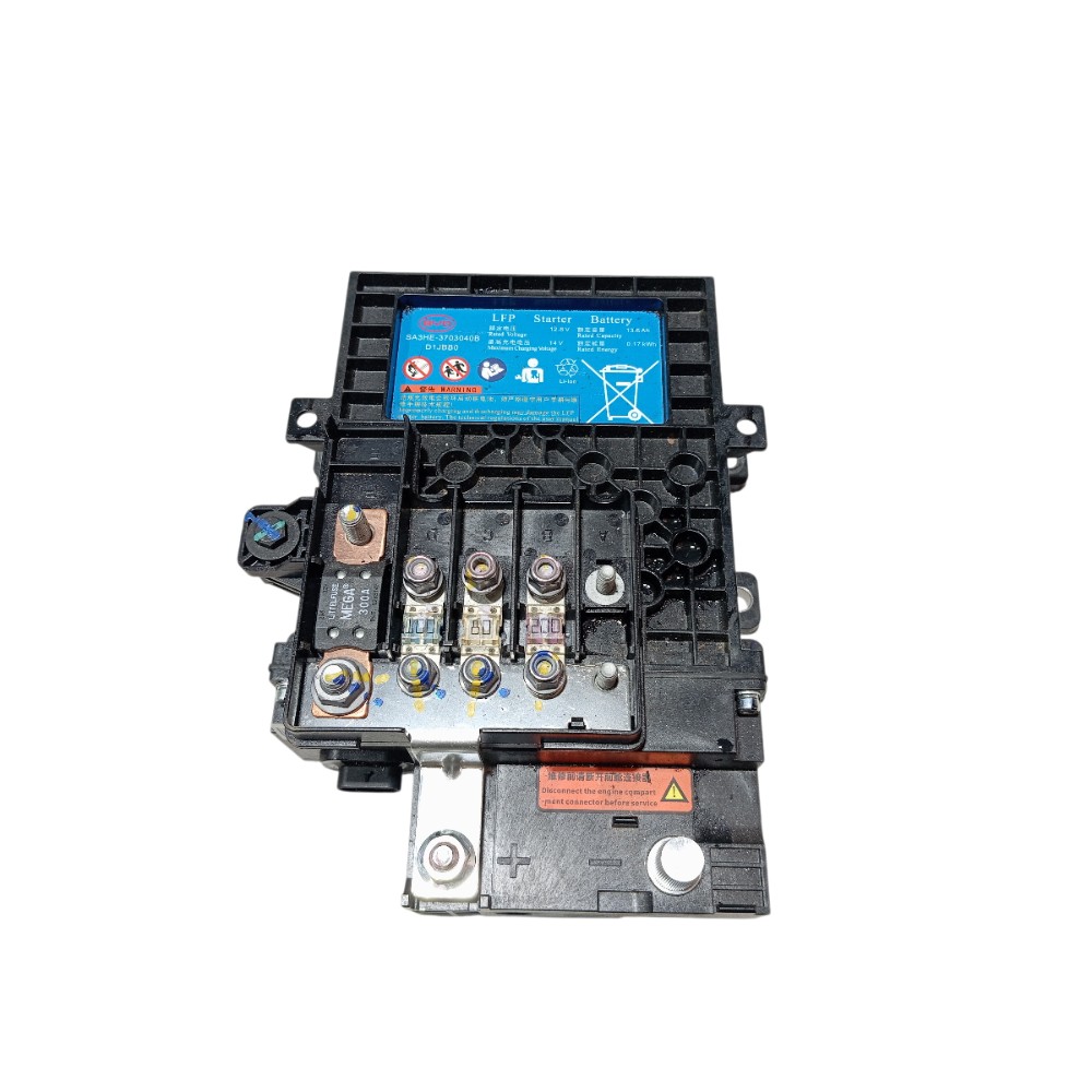 Bateria partida Byd Song Pro 2025 V669 4