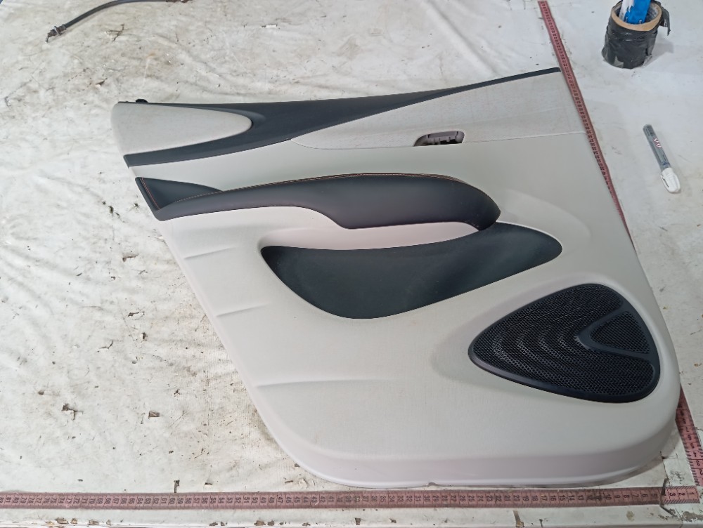 Forro Porta Traseira Esquerda Byd Dolphin Gs 2024 2025 V653 9