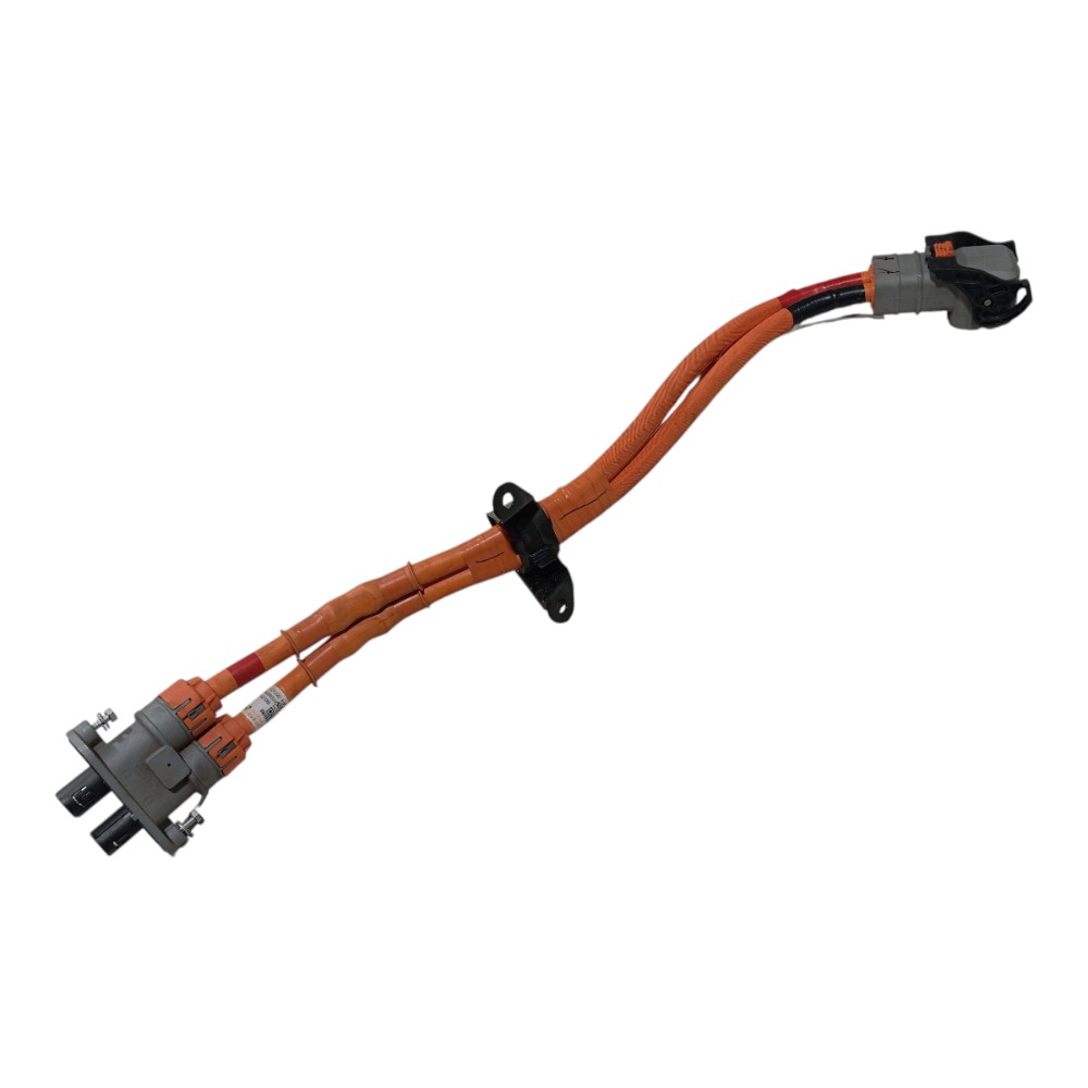 Cabo Chicote Bateria Byd Dolphin Gs 2024 2025 V666 2