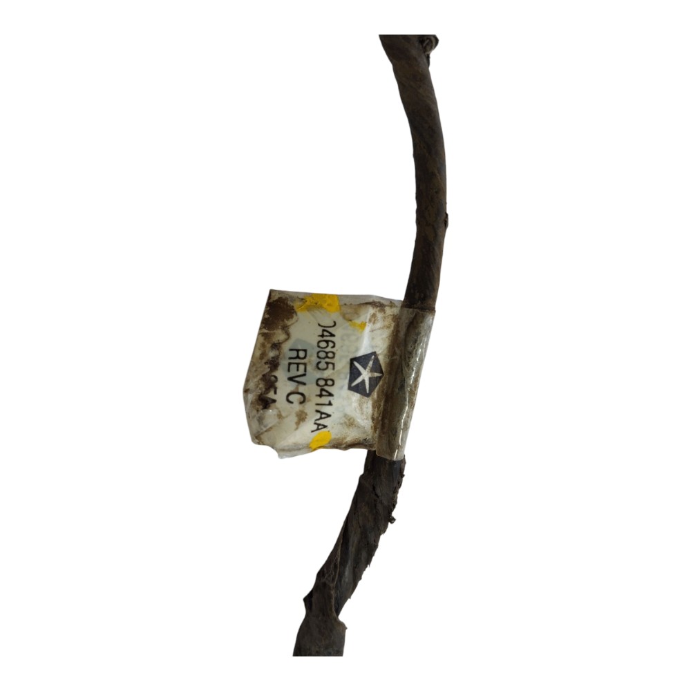 Miolo Porta Dianteira Esquerda Chrysler Grand Caravan V578 5