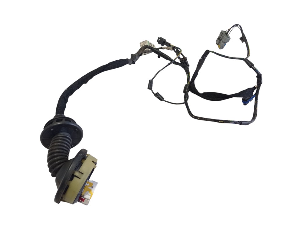 Chicote Porta Dianteiro Esquerdo Citroen C3 2006 1.4 V306 4