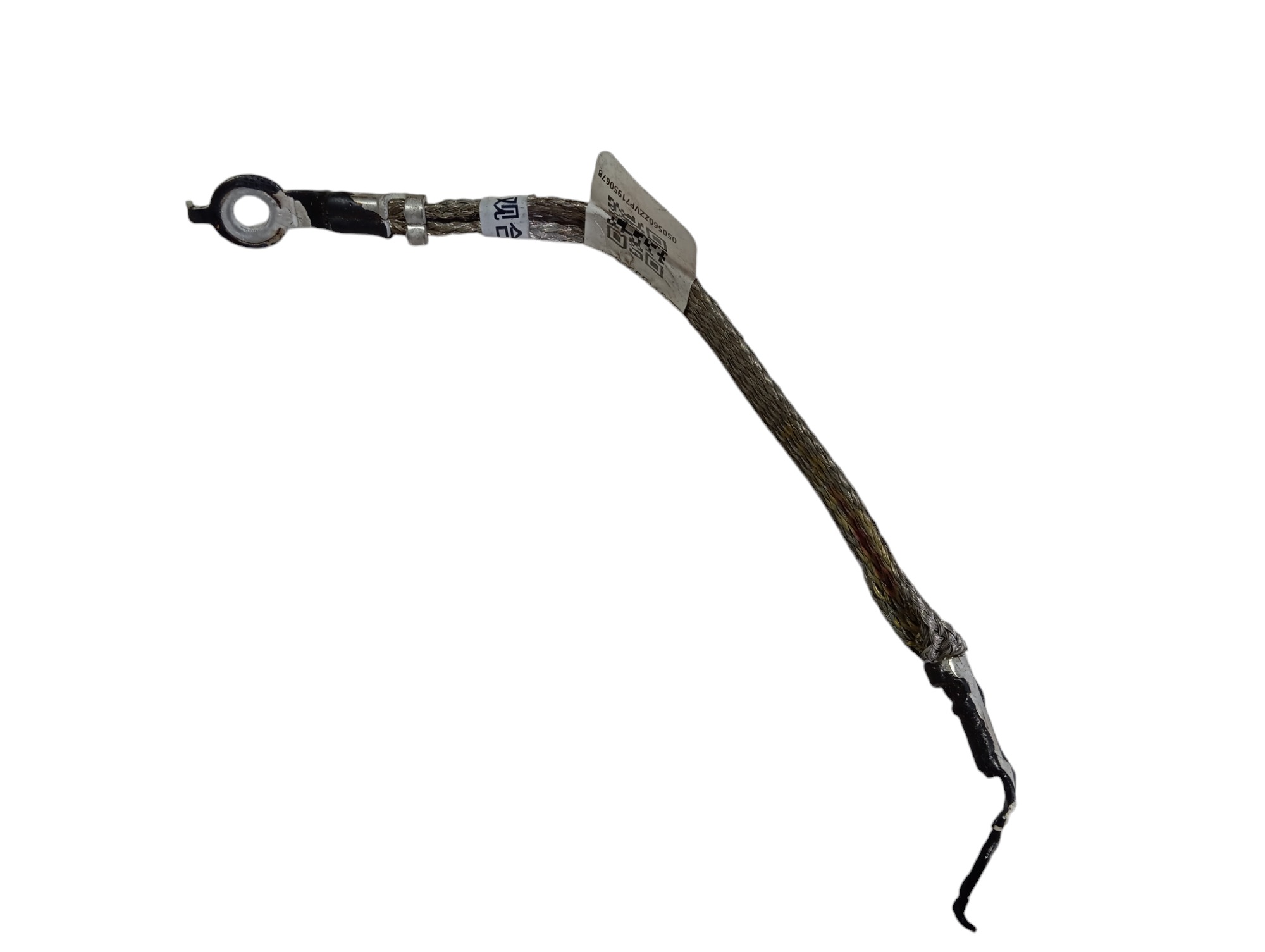 Cabo Terra Byd Dolphin Gs 180ev 2024 V596 3