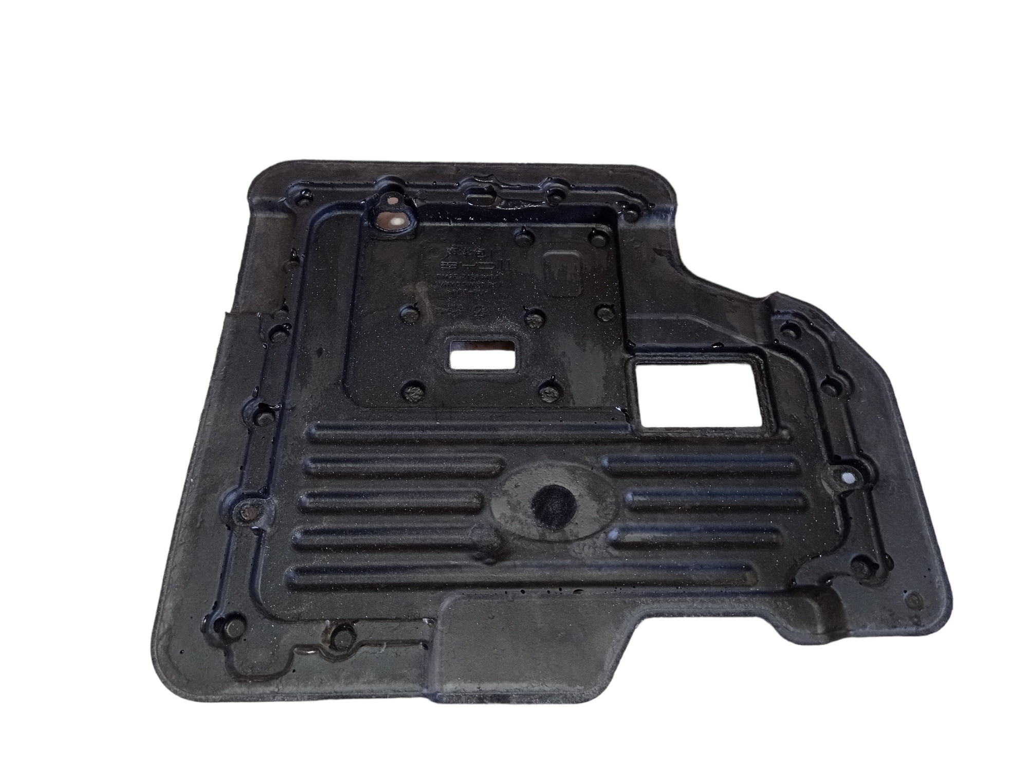 Capa Motor Byd Dolphin Gs 2024 2025 V594 5