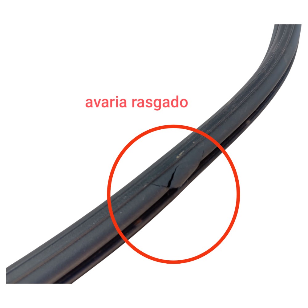 Borracha Porta Traseira Direita Byd Dolphin Gs 2024 25 V653 2