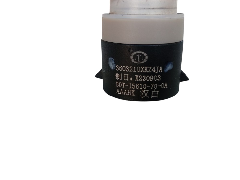 Sensor Estacionamento Traseiro Gwm Ora Gt 03 2024 V625 3