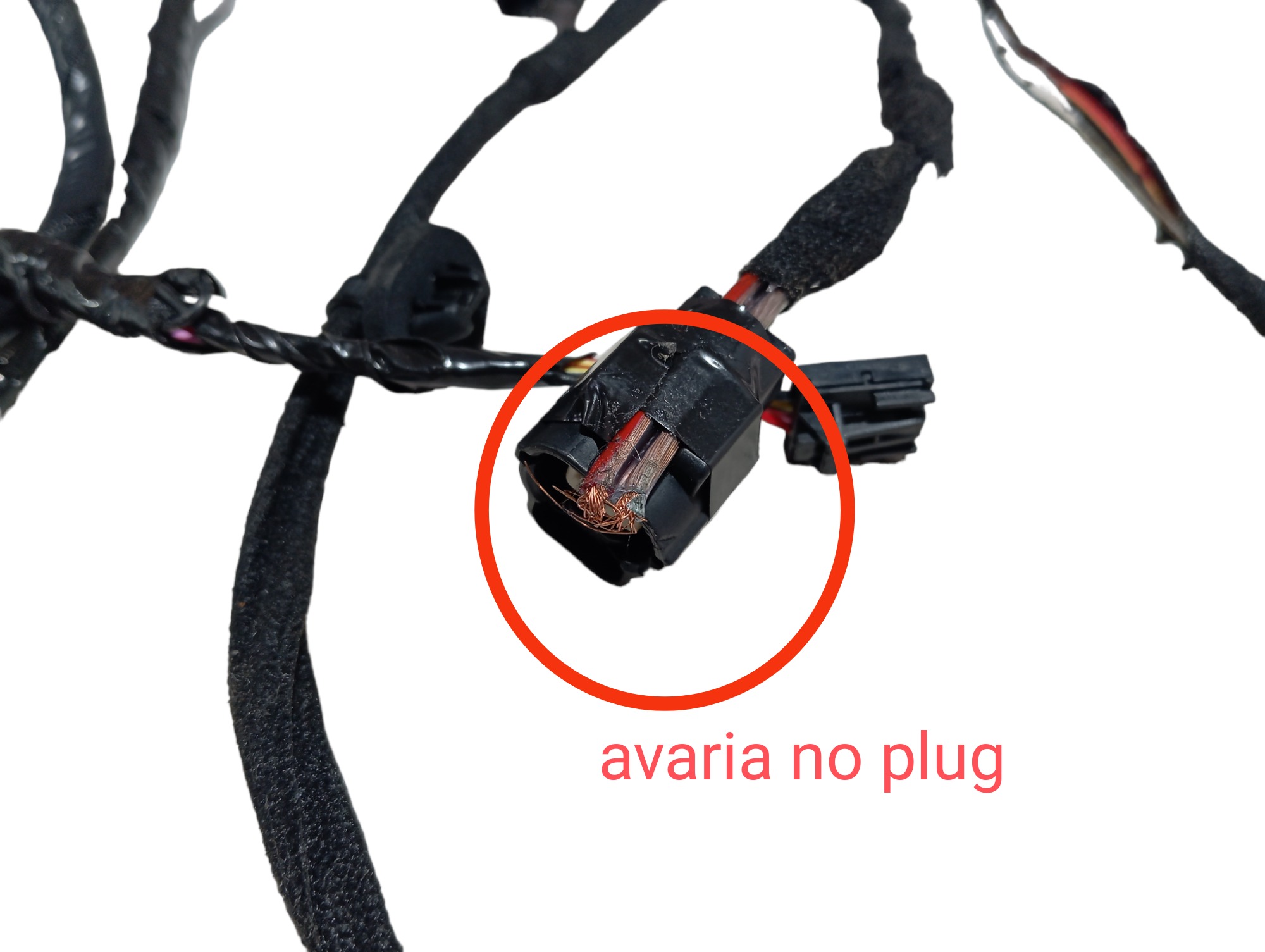 Chicote Porta Dianteira Esquerda Gwm Haval H6 Gt 2024 V598 9