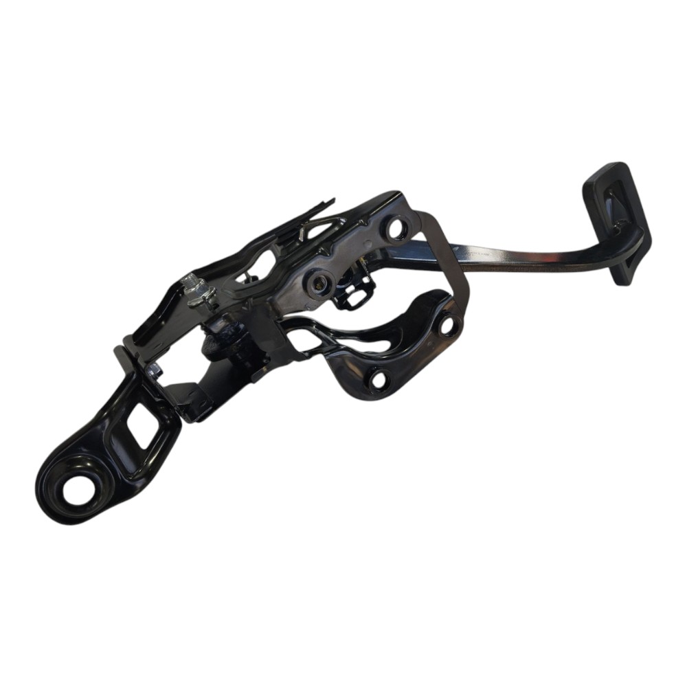 Pedal Freio Byd Song Plus 2024 V631 9
