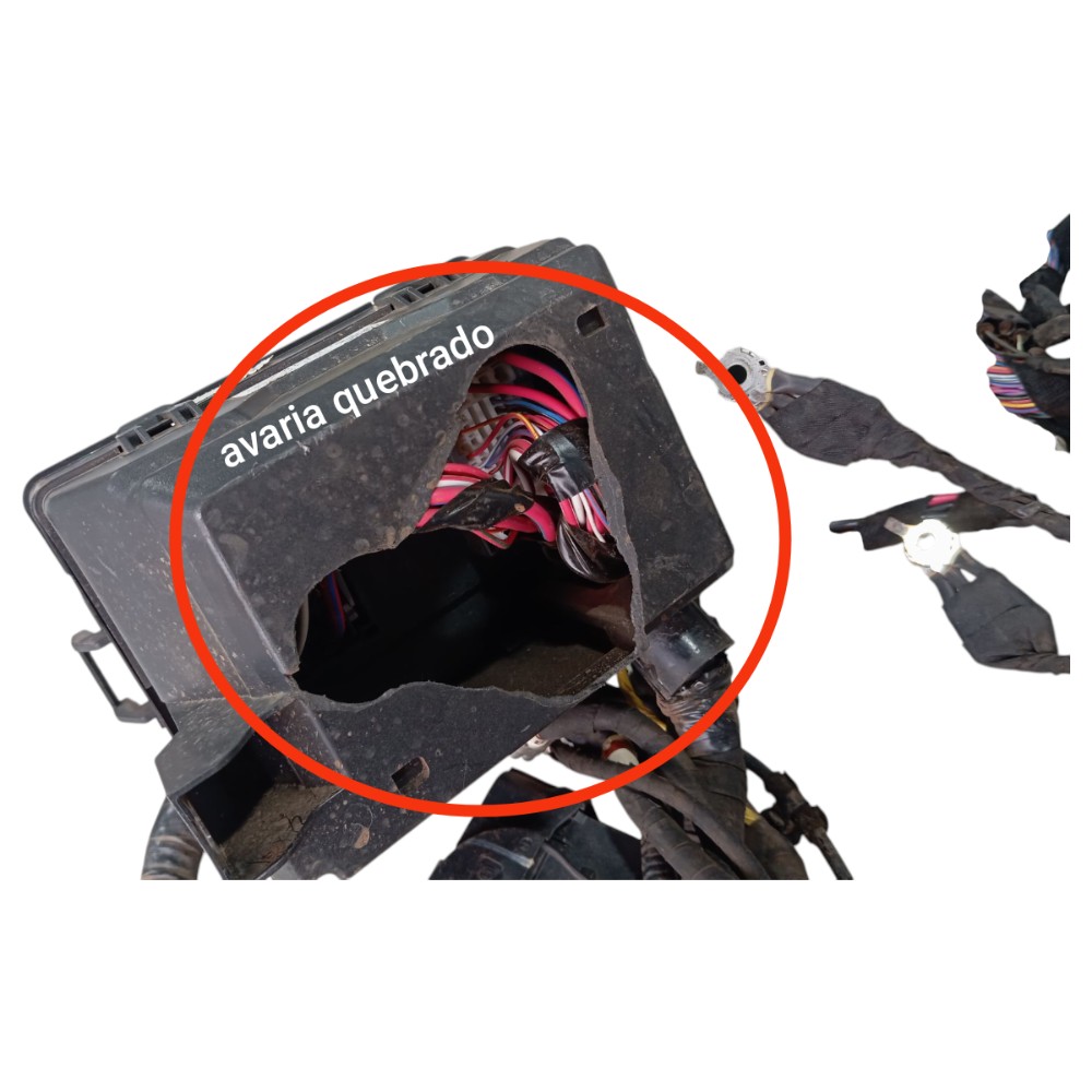 Chicote Externo Byd Dolphin Gs 2024 2025 V653 6