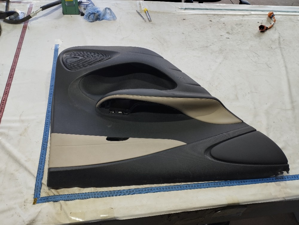 Forro Porta Traseira Esquerda Byd Dolphin Gs 2024 2025 V628 5