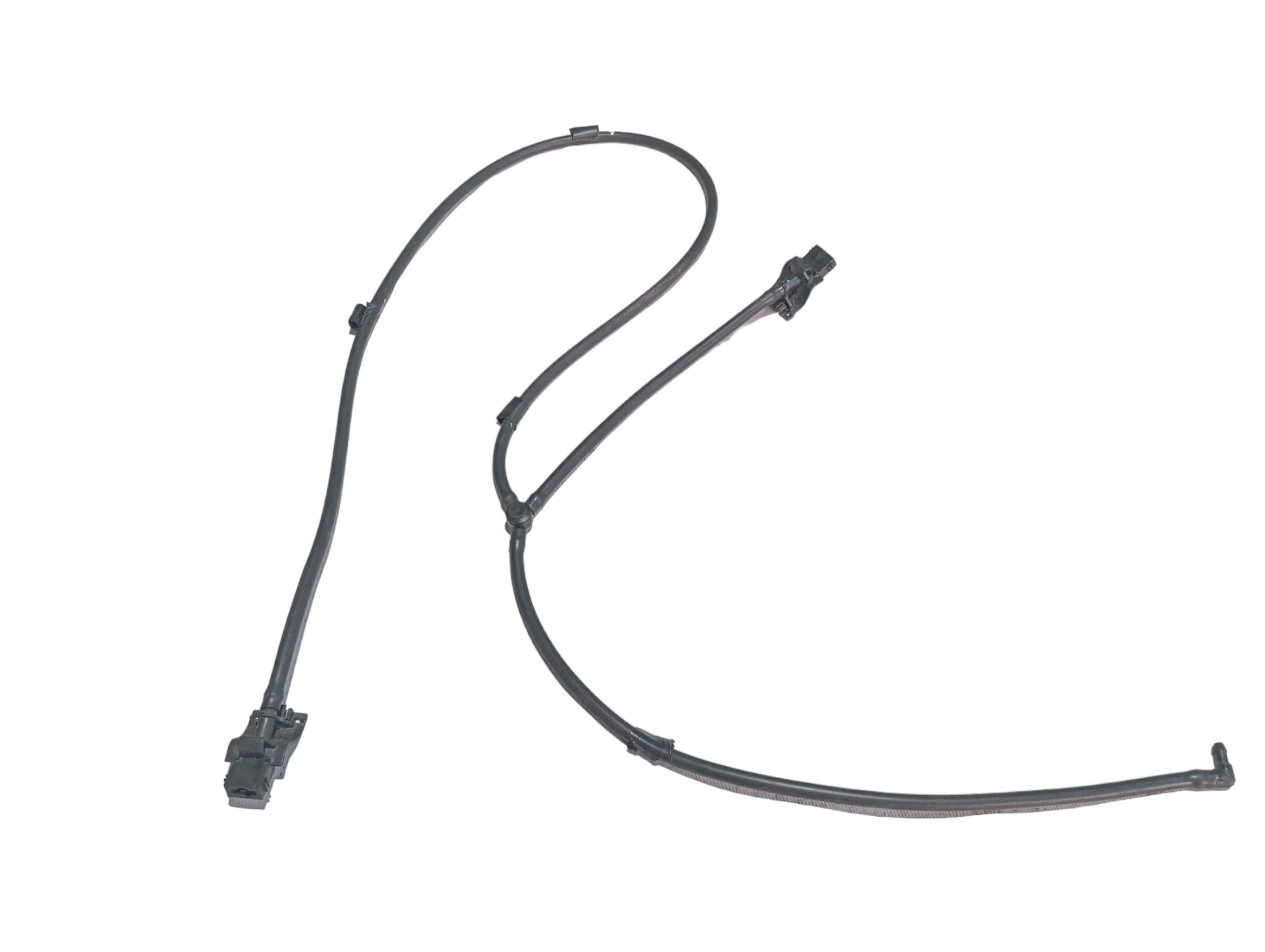 Brucutu Esguicho Byd Dolphin Gs 2024 2025 V594 3