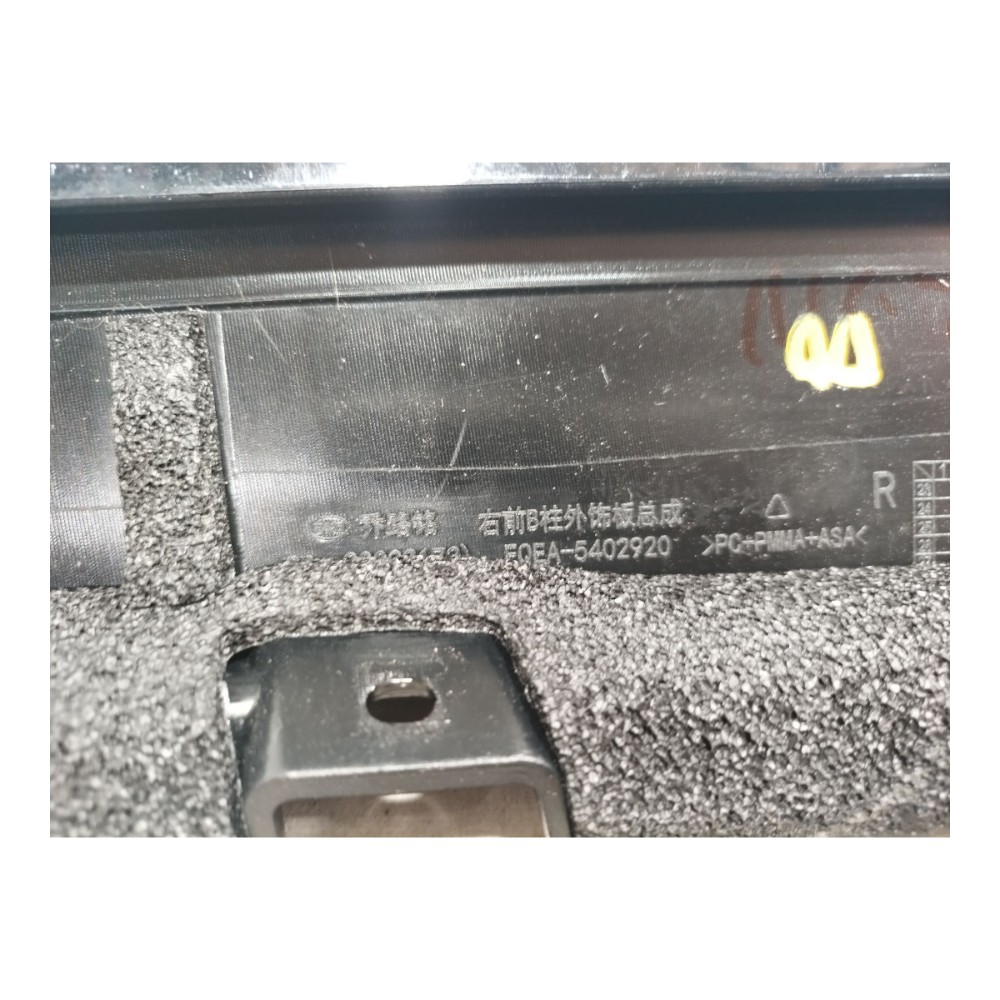 Moldura Porta Dianteira Direit Byd Dolphin Mini 2024 25 V665 3