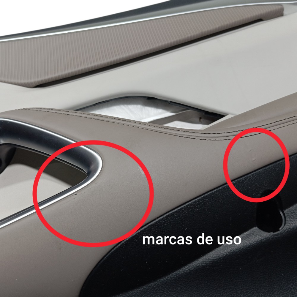 Forro Porta Traseira Direita Byd Song Pro 2025 V669 3