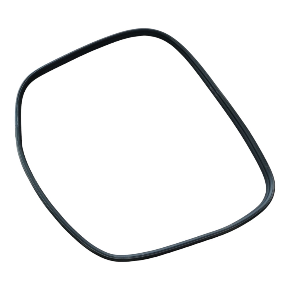 Borracha Porta Dianteira Direita Byd Dolphin Gs 2024 25 V666