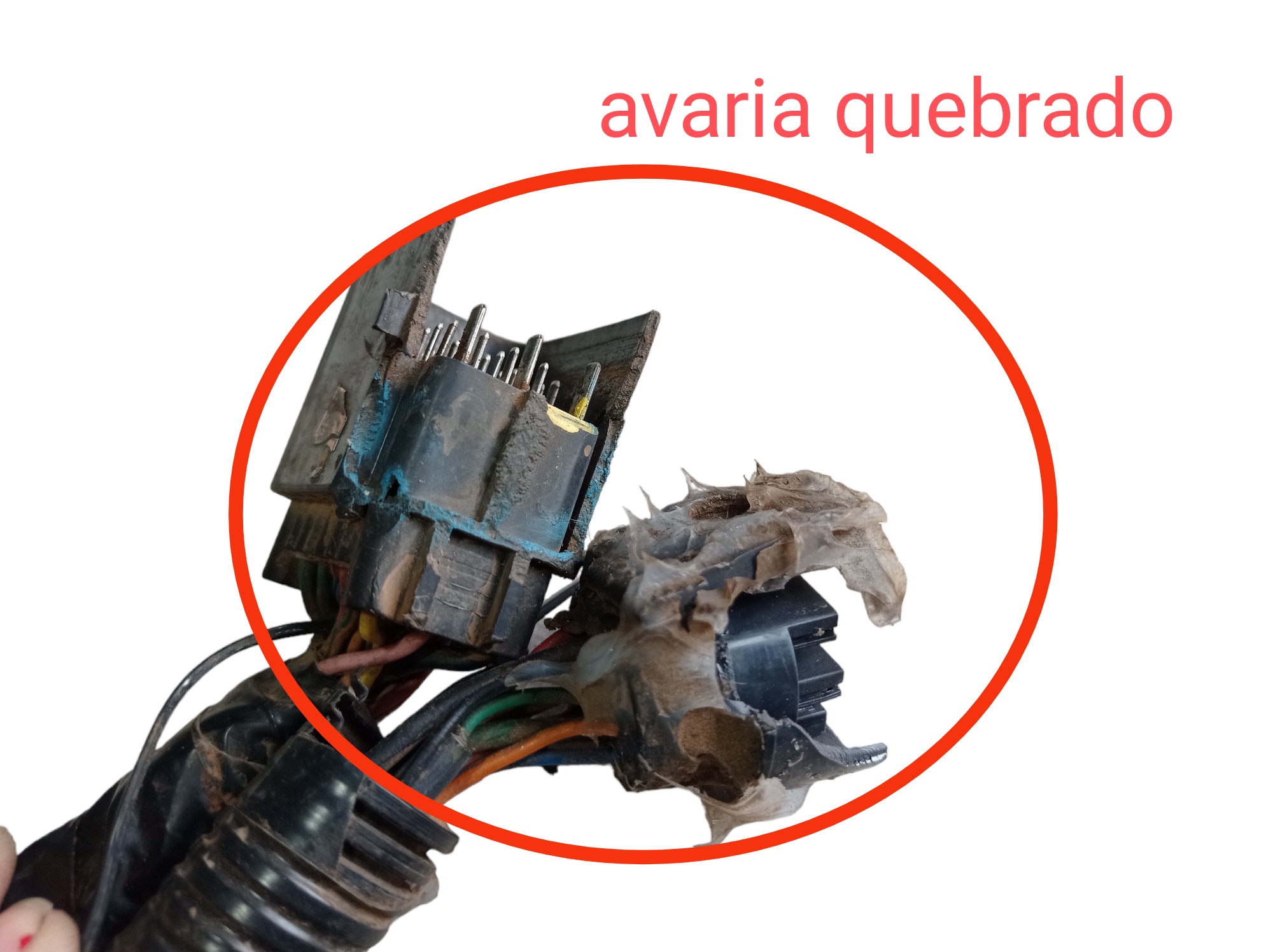Chicote Frontal Hyundai Equus Vs460 4.6 2013 V577 7
