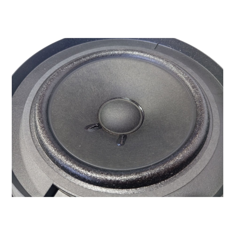 Alto falante porta traseira esquerda Nissan Leaf 2023 V632 4