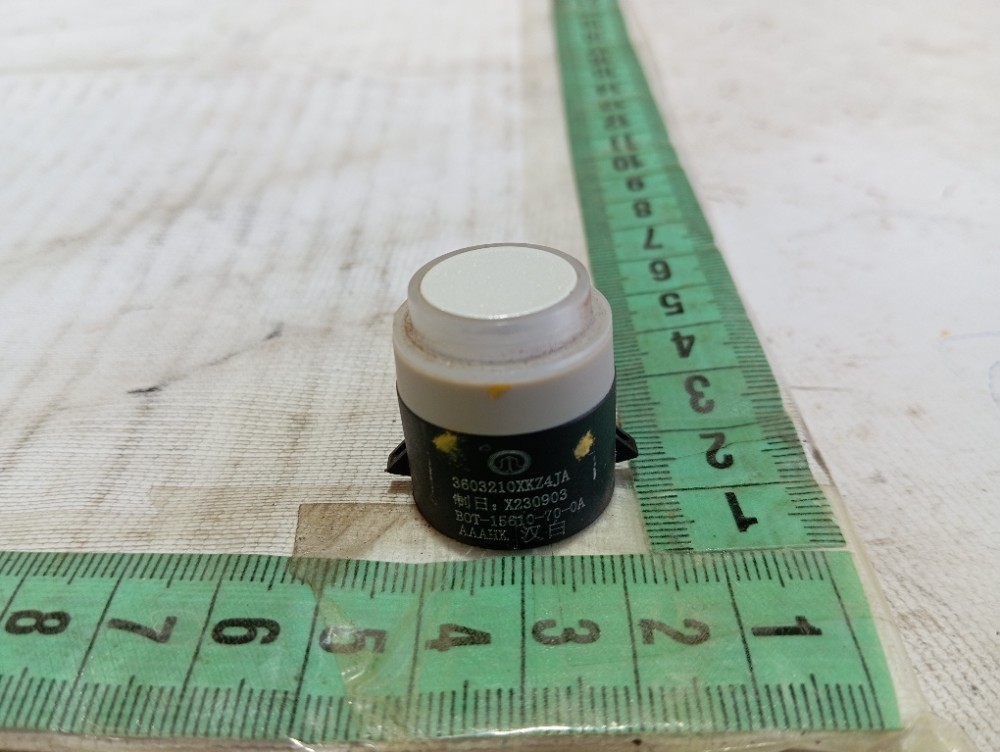 Sensor Estacionamento Traseiro Gwm Ora Gt03 2024 V625 6