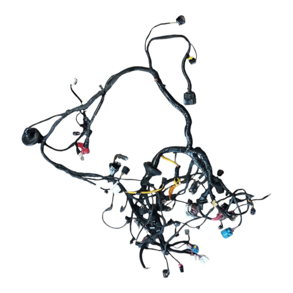 Chicote Frontal Externo Byd Dolphin Mini 2024 2025 V634 – Desmache