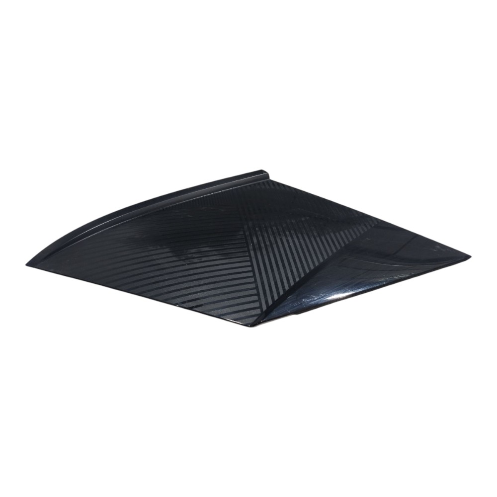 Moldura Externa Trasei Esquerda Byd Dolphin Gs 2024 25 V666 2