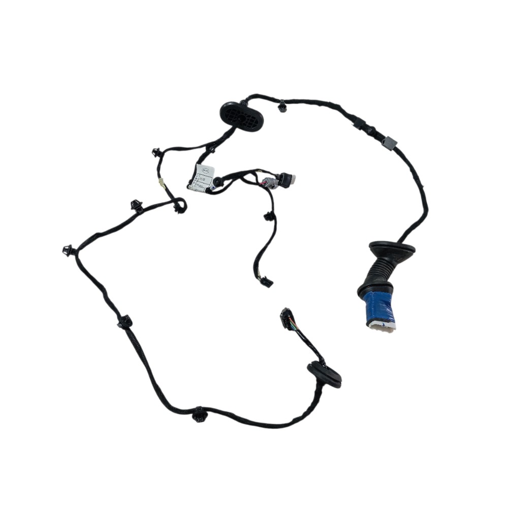 Chicote Porta Traseira Direita Byd Song Pro 2024 V674 5