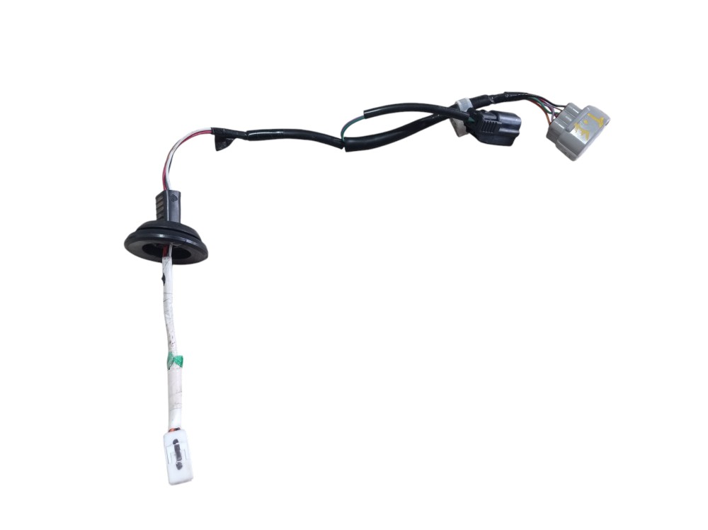 Chicote Lanterna Traseira Esquerda Rx500h Fsport 2023 V619 4