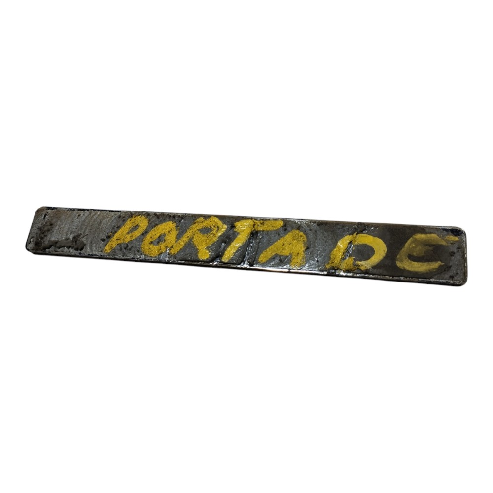 Emblema 100% Eletric Porta Dianteira Jac Ejs1 2022 2024 V616 5