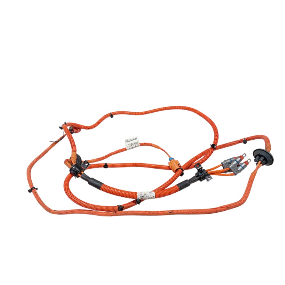 Chicote bateria Byd Song Pro 2025 V669 1