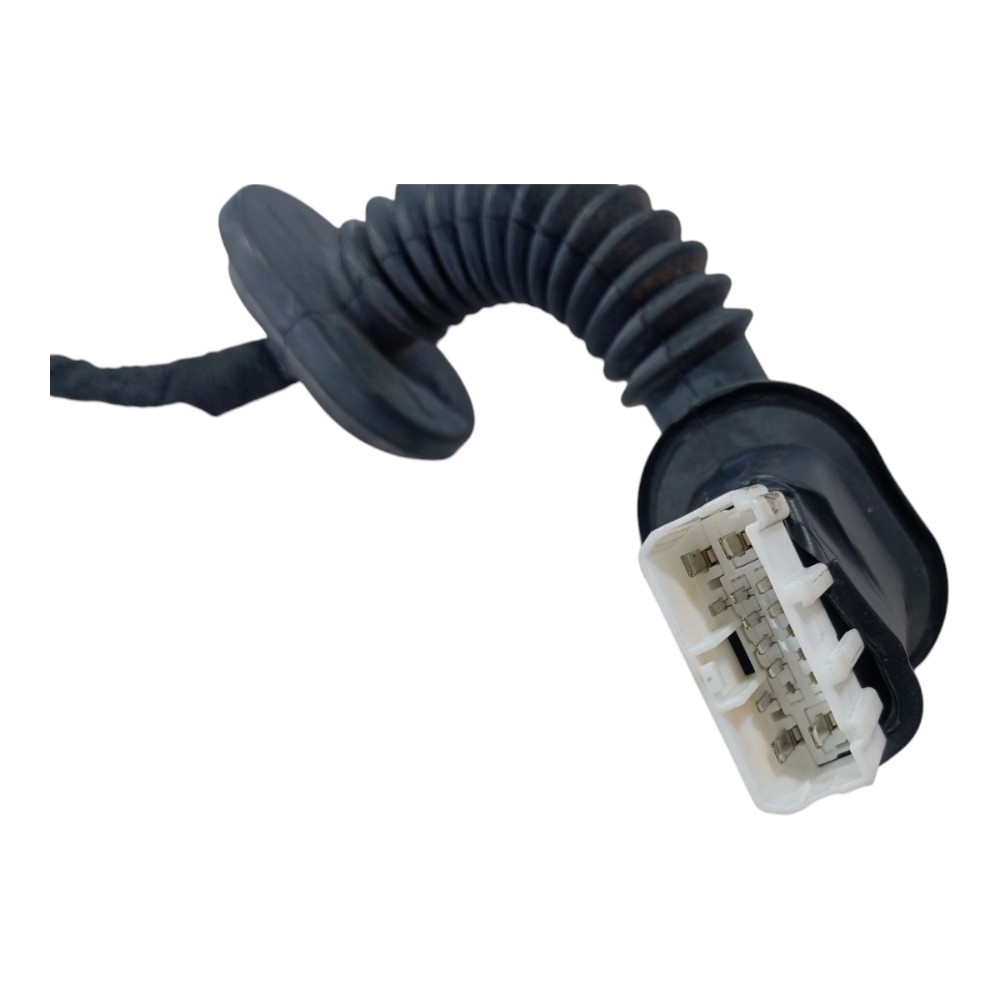 Chicote Porta Traseira Esquerd Byd Dolphin Gs 2024 2025 V628 3