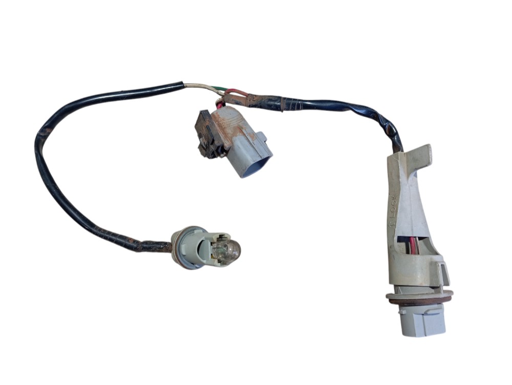 Chicote Lanterna Traseira Land Cruiser Prado 2005 V620 4