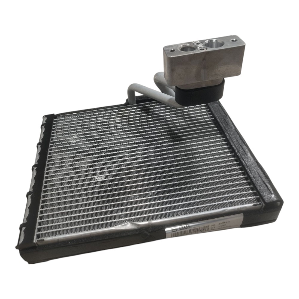 Caixa Evaporadora Byd Dolphin Gs 2024 2025 V666 3